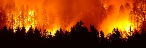 Notre maison brûle, mais en 2025 les hyperscalers ont surtout regardé ailleurs